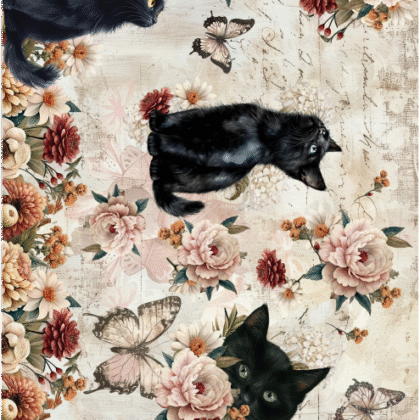 Catcute 4 b Laminas sublimable