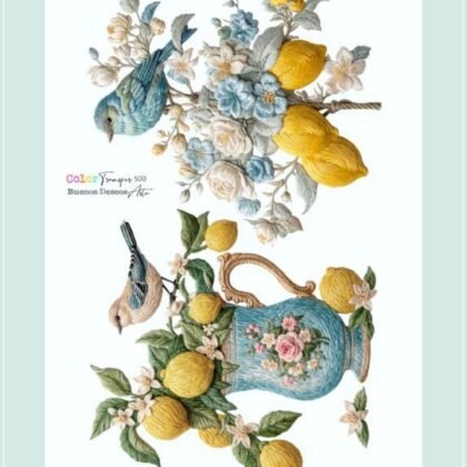 Color transfer 500
