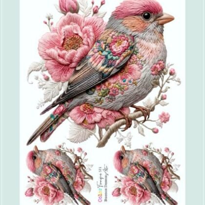 Color transfer 521