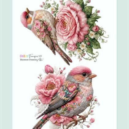 Color transfer 522